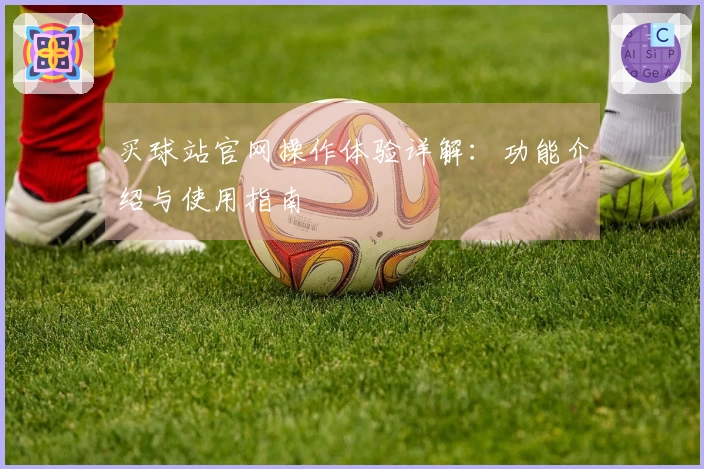 买球站官网操作体验详解：功能介绍与使用指南