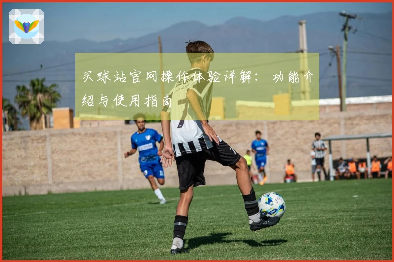 买球站官网操作体验详解：功能介绍与使用指南