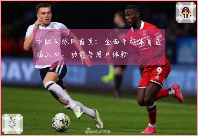 中欧买球网首页：全面介绍体育直播入口、功能与用户体验