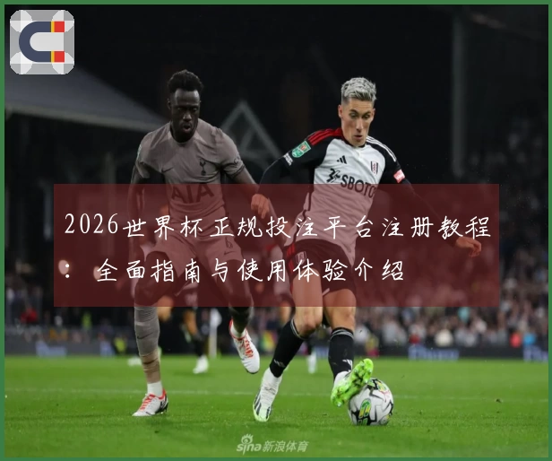 2026世界杯正规投注平台注册教程：全面指南与使用体验介绍